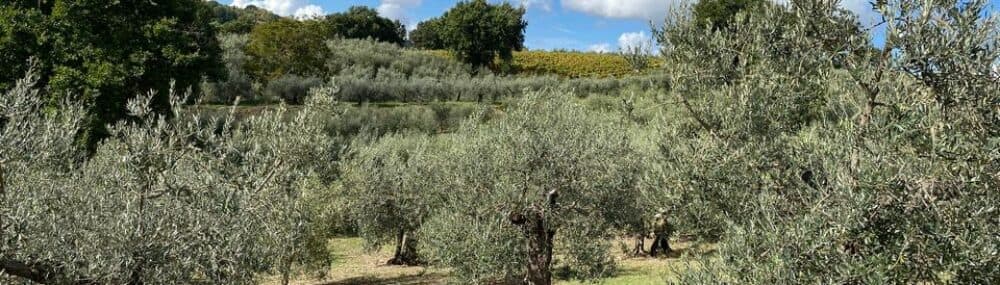 Communicare AS bilde 1