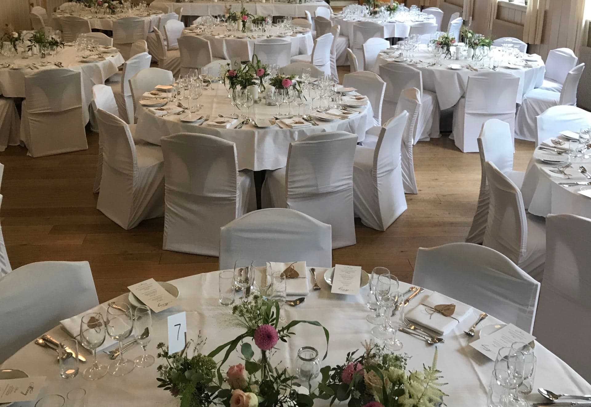 Fruene Haugestad bilde 1