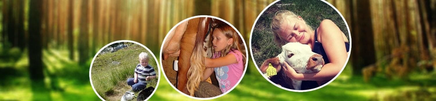 Håvardsrud Seterliv bilde 2