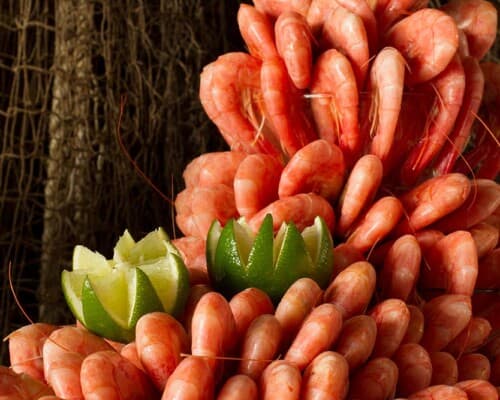 Harbour Brygge bilde 5