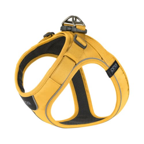 Buddy Vestkanten bilde 8