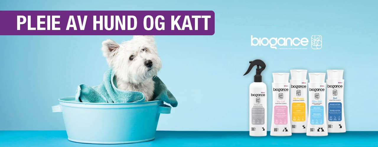 Buddy Vestkanten bilde 4