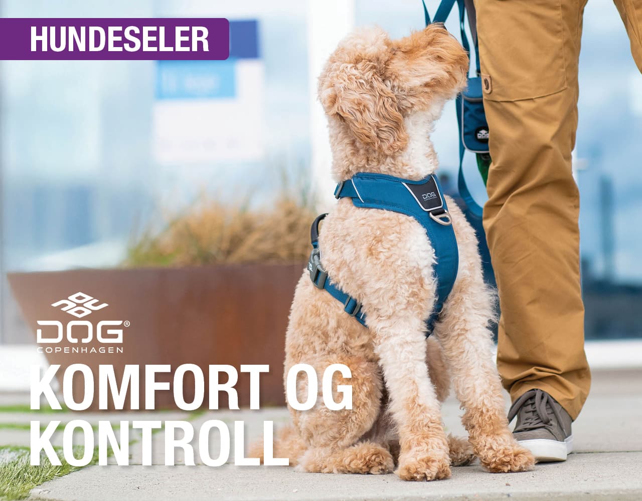 Buddy Vestkanten bilde 2