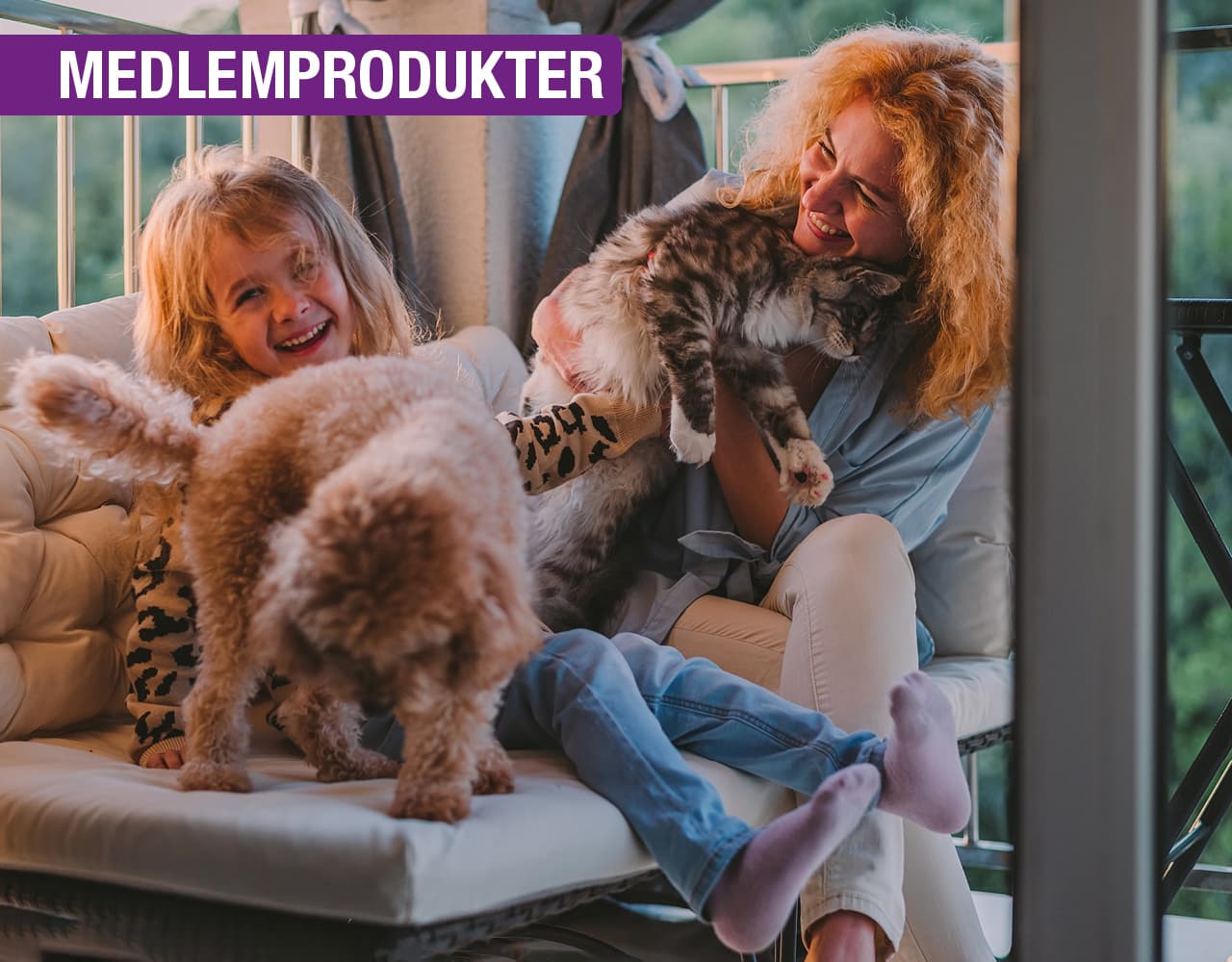 Buddy Vestkanten bilde 1