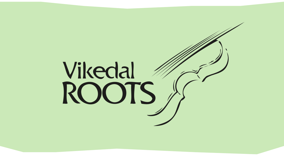 Vikedal Roots Music Festival bilde 1
