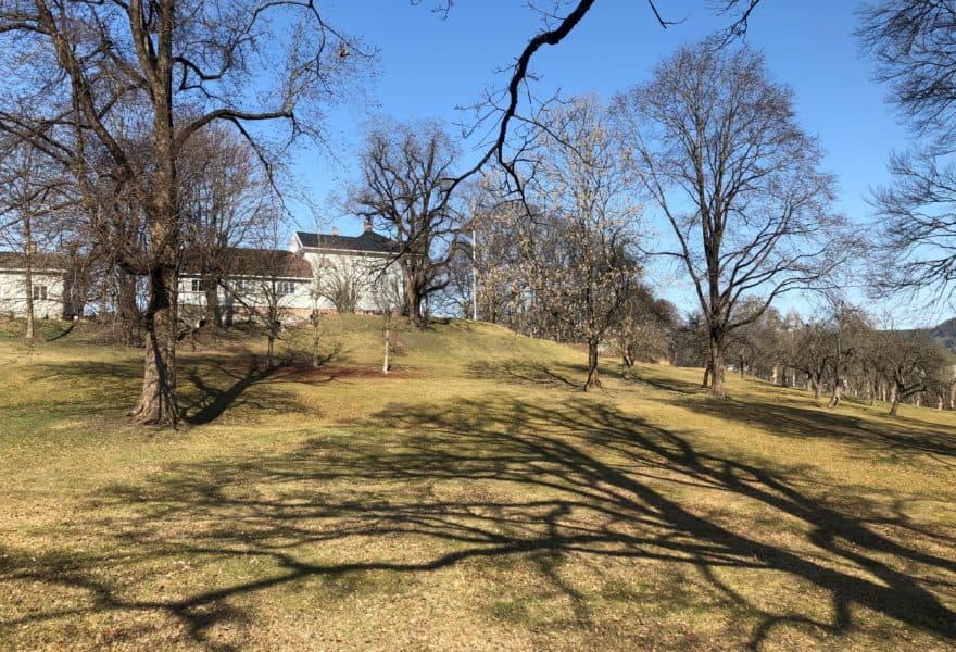 Austad Gård bilde 5