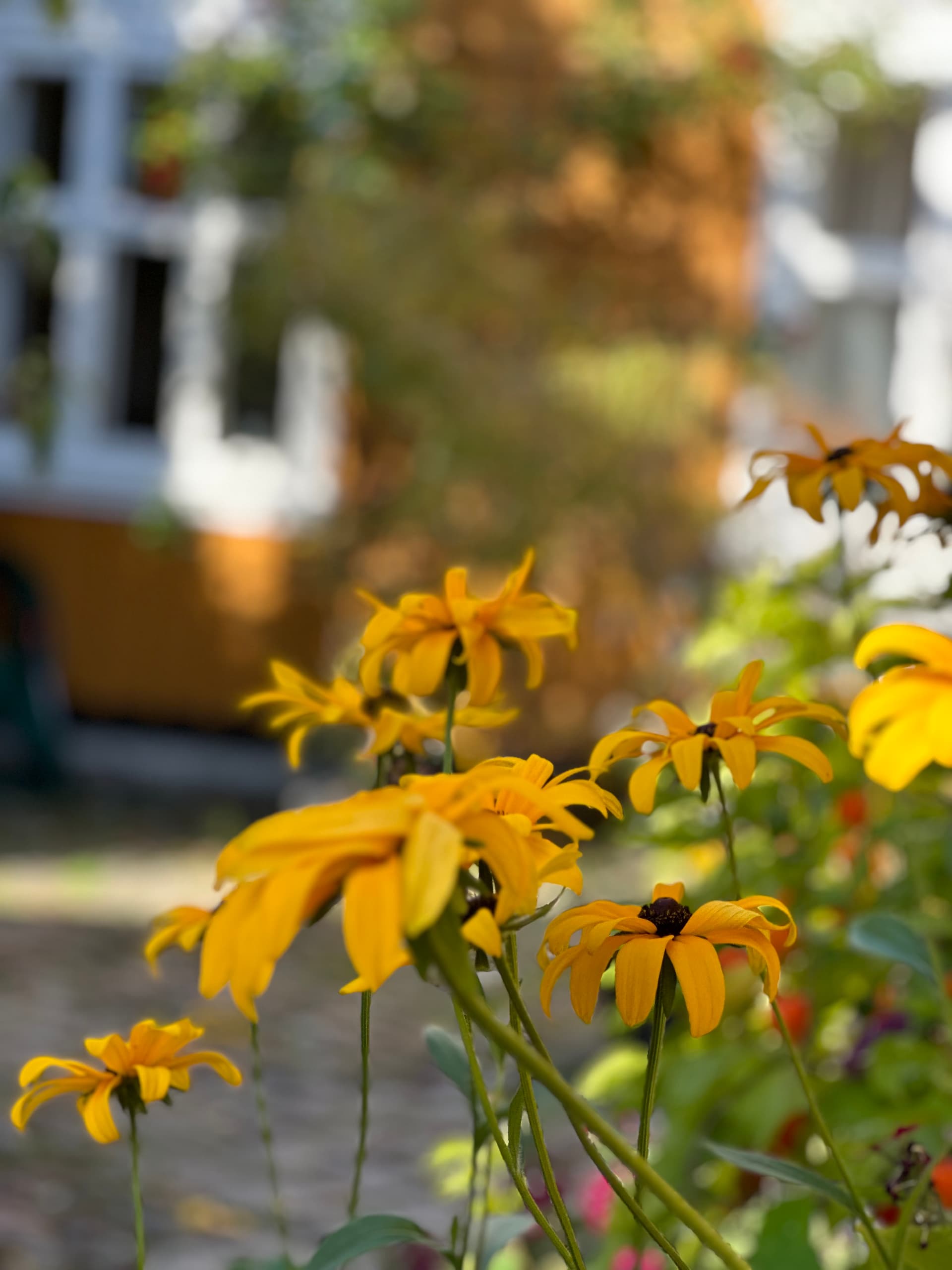 Tollgaarden Gjestegaard bilde 7