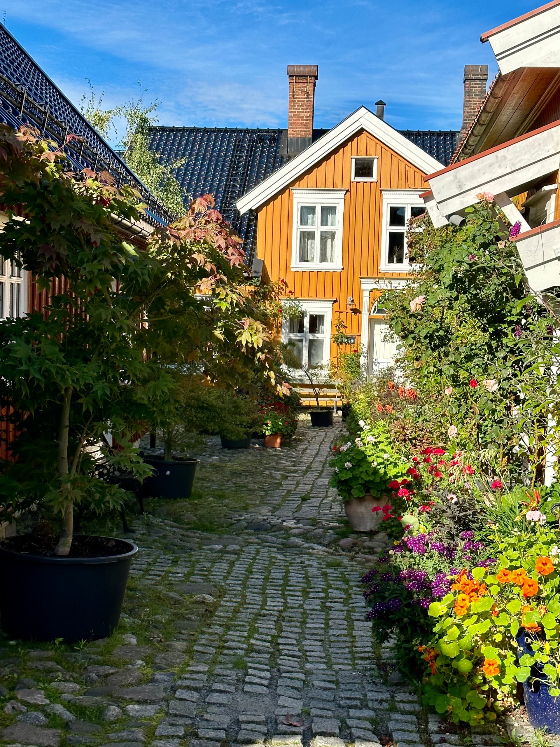 Tollgaarden Gjestegaard bilde 6