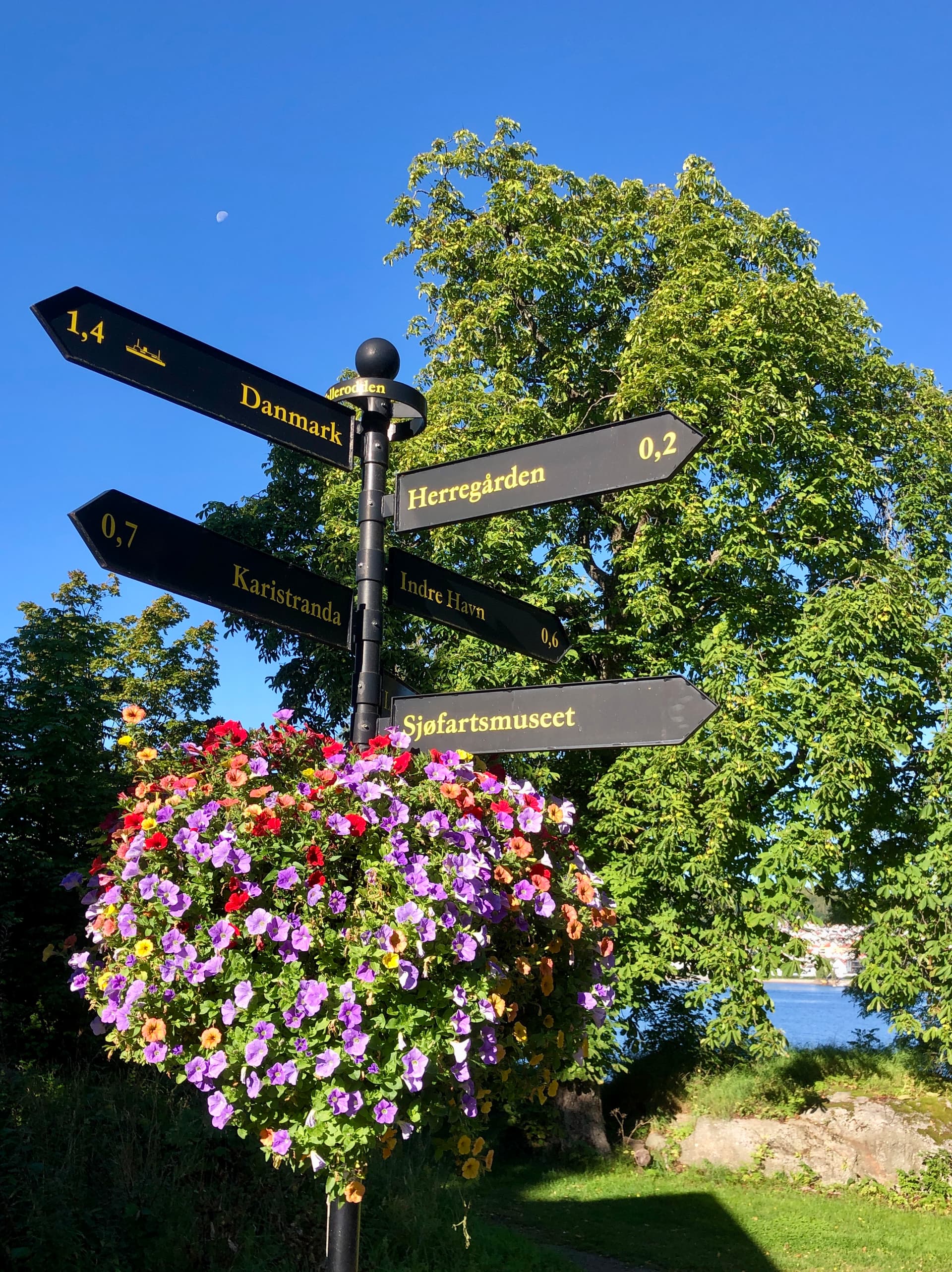 Tollgaarden Gjestegaard bilde 10