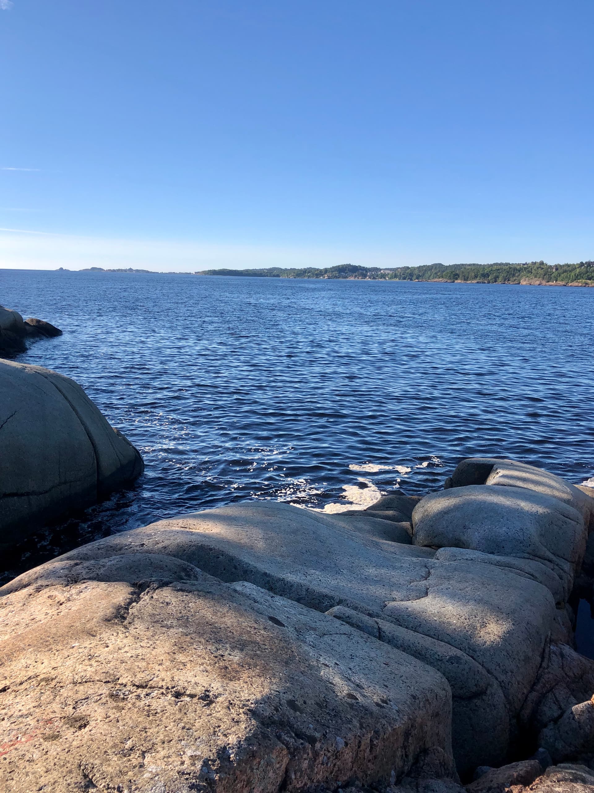 Tollgaarden Gjestegaard bilde 9