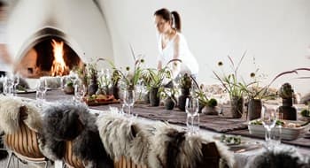 Fole festlig bilde 3