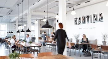 Fole festlig bilde 2