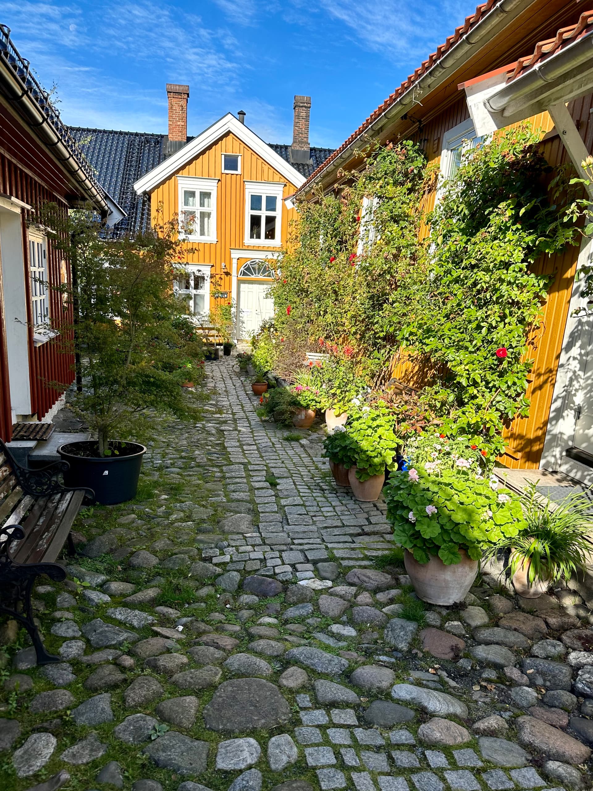 Tollgaarden Gjestegaard bilde 4