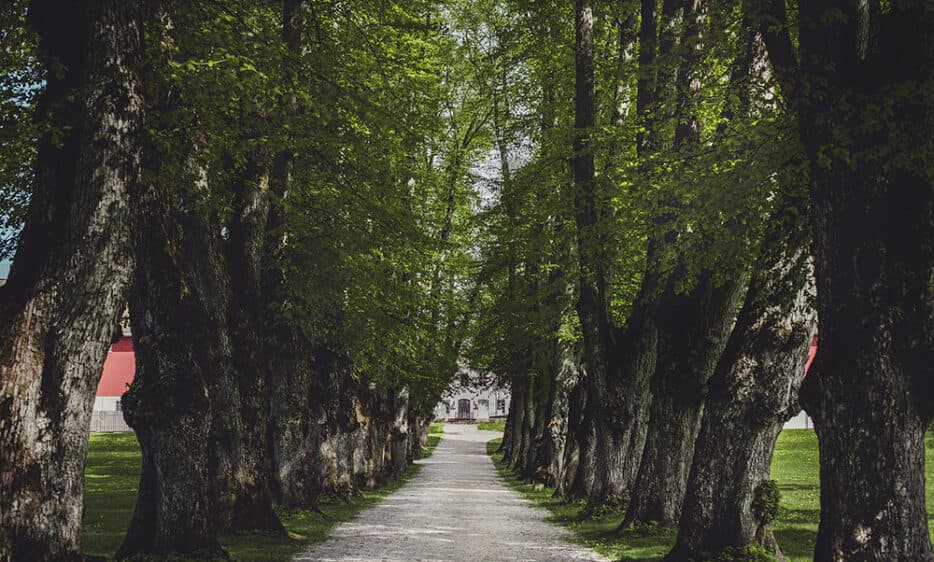 Hafslund hovedgård & konferansesenter bilde 3