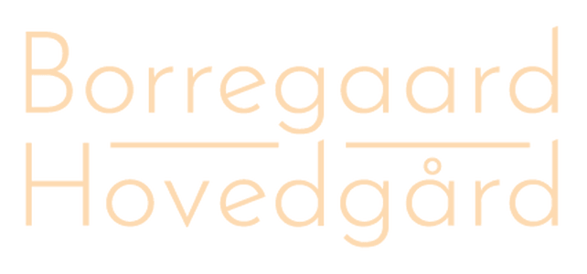 Borregaard Hovedgård bilde 2