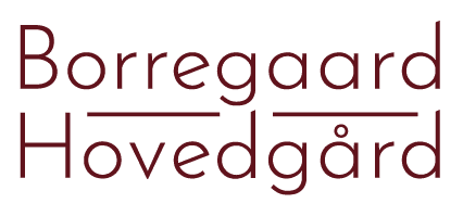 Borregaard Hovedgård bilde 1
