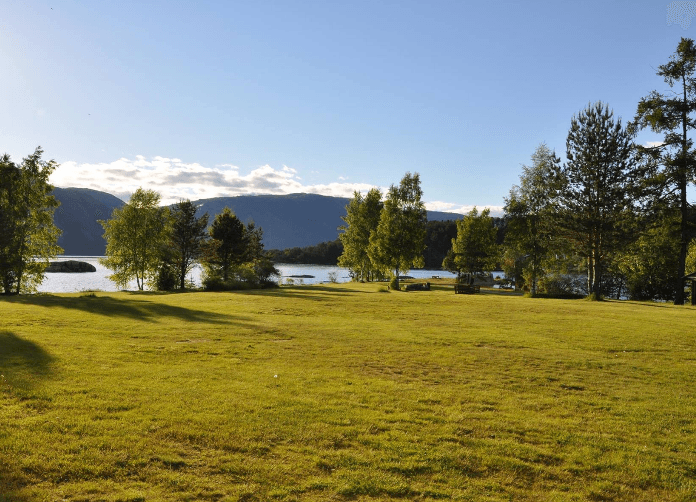 Treungenfestival bilde 3