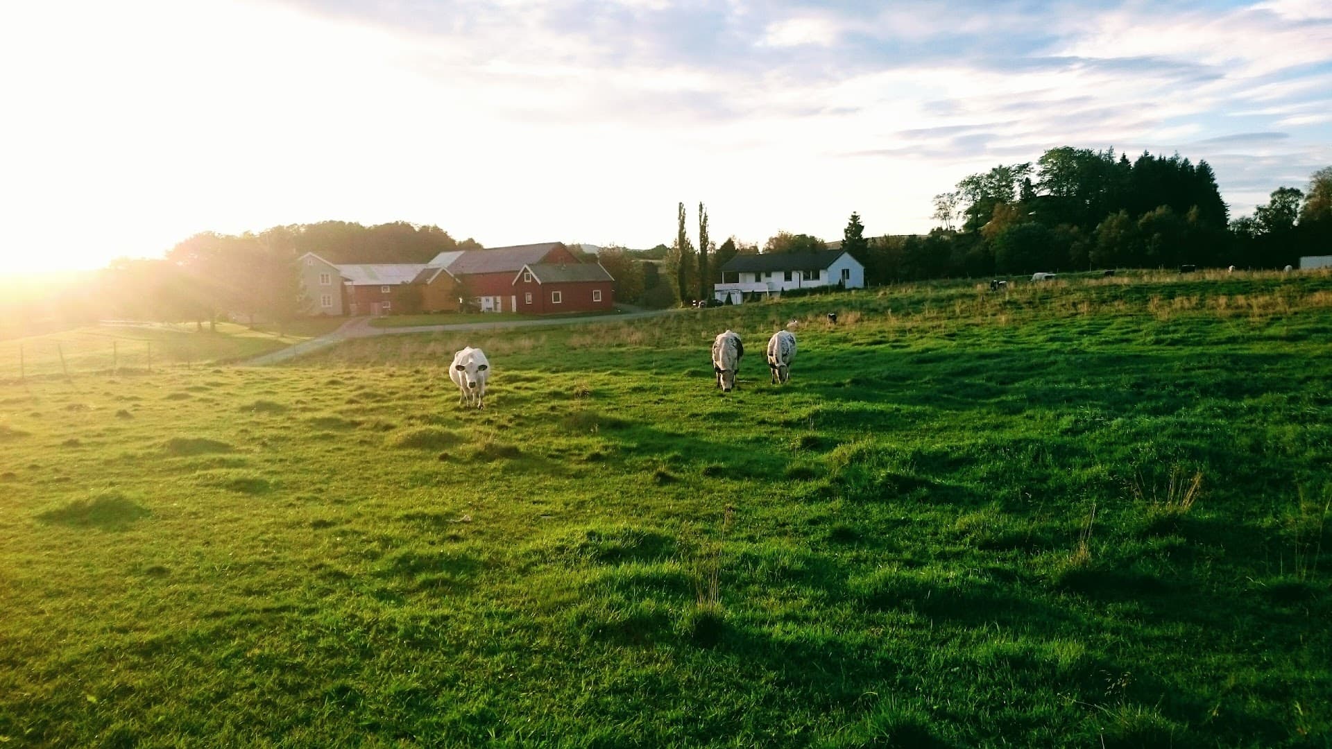 Lerflaten Gård bilde 3