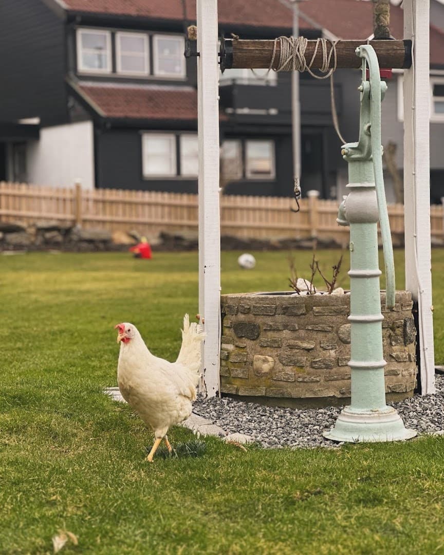 Kalhagen Gård bilde 2