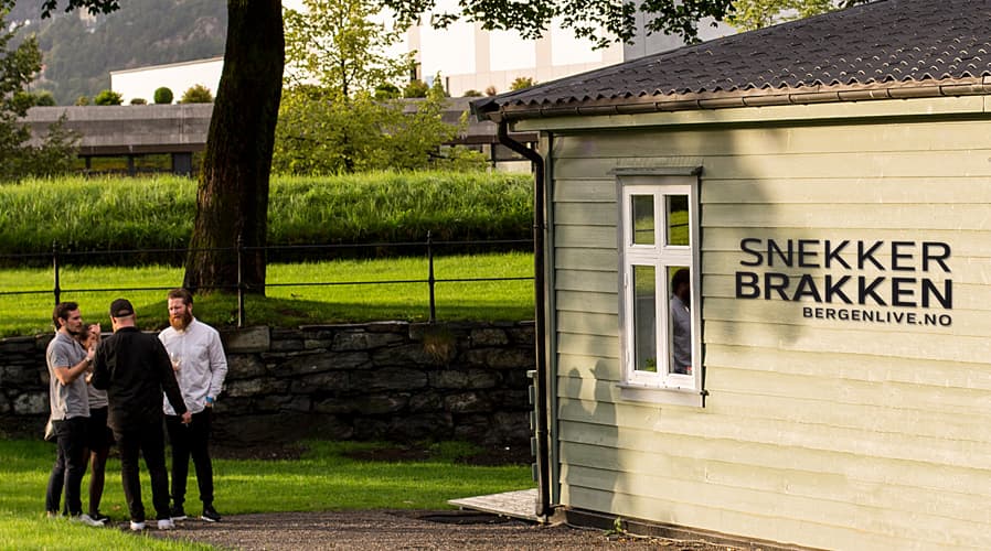 Snekkerbrakken bilde 1