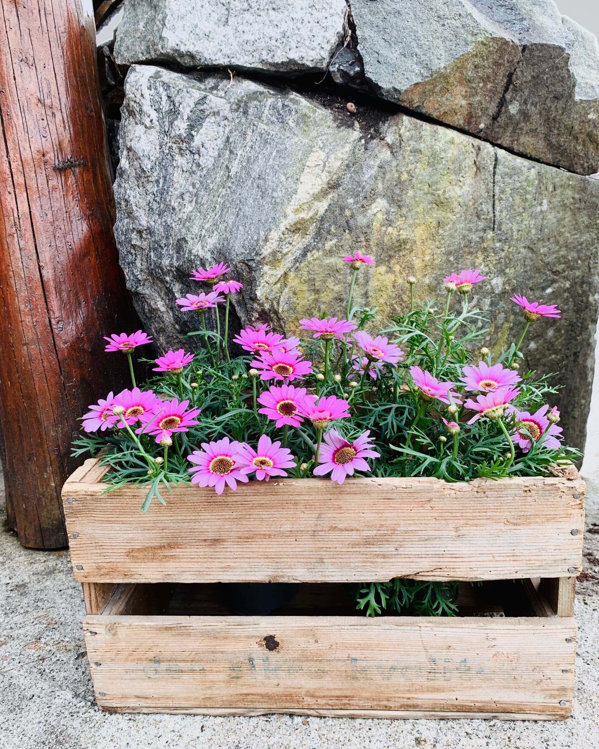 Naustene på Bersagel bilde 3