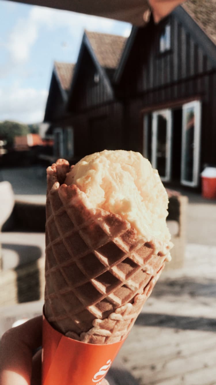 Naustene på Bersagel bilde 7