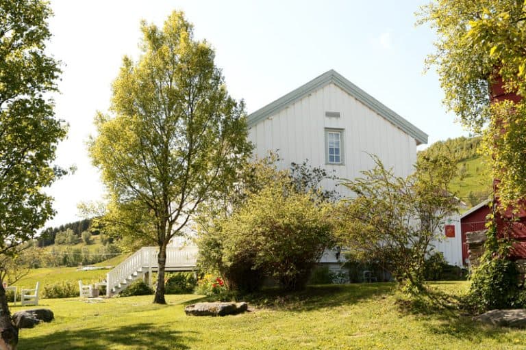 Røkenes Gård Restaurant og Gjestehus bilde 10