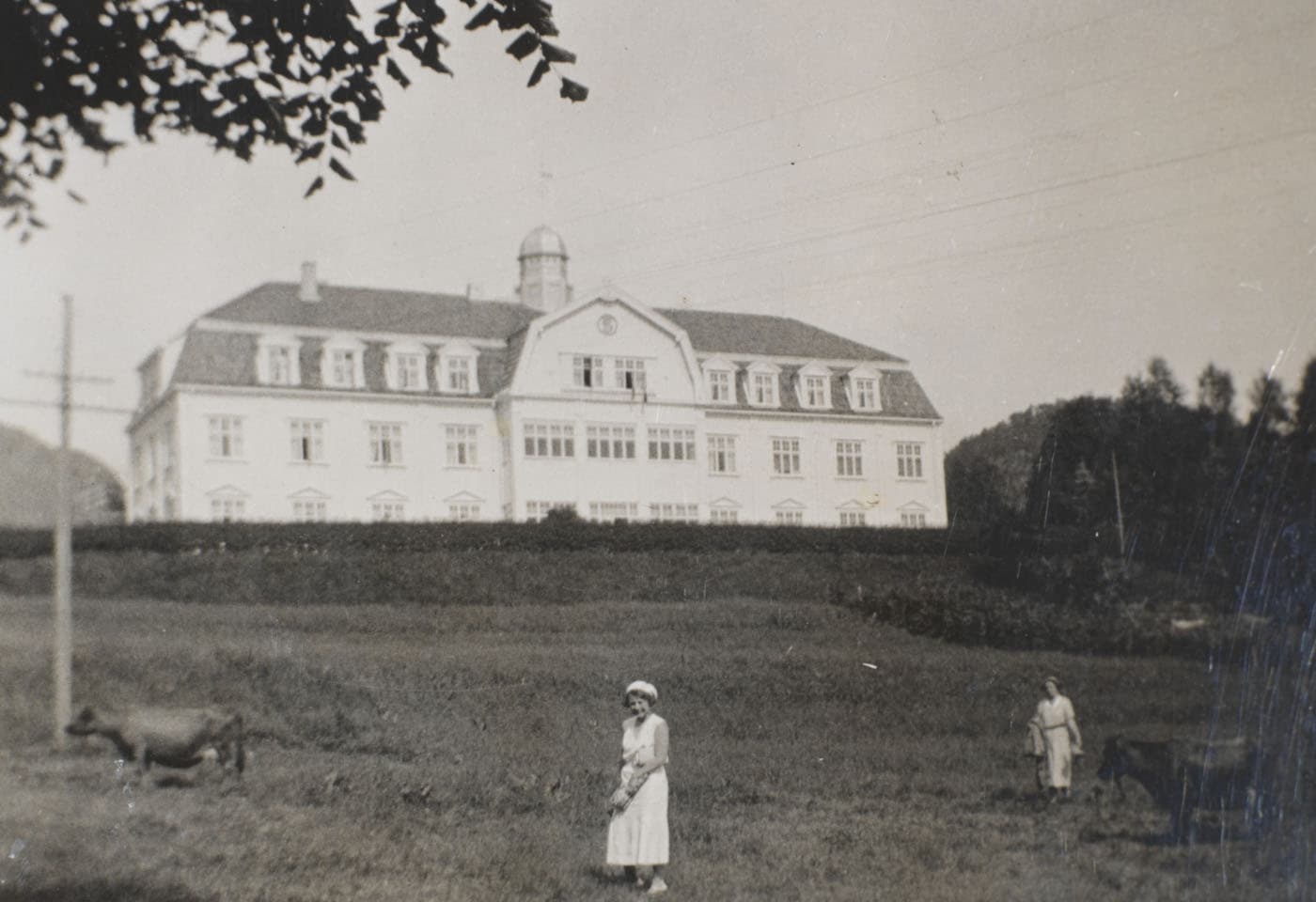 Sauda Fjordhotell bilde 6