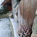 Solbakken Gard bilde 5