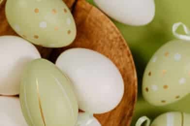 Stord Hotell bilde 3