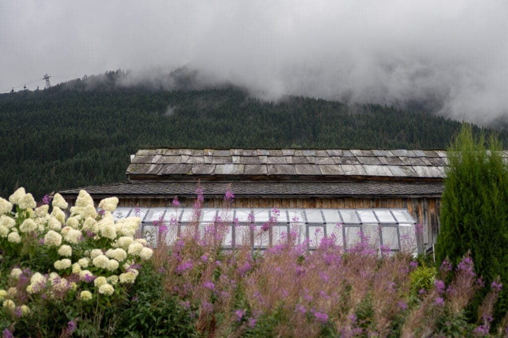 Store Ringheim Hotell bilde 3