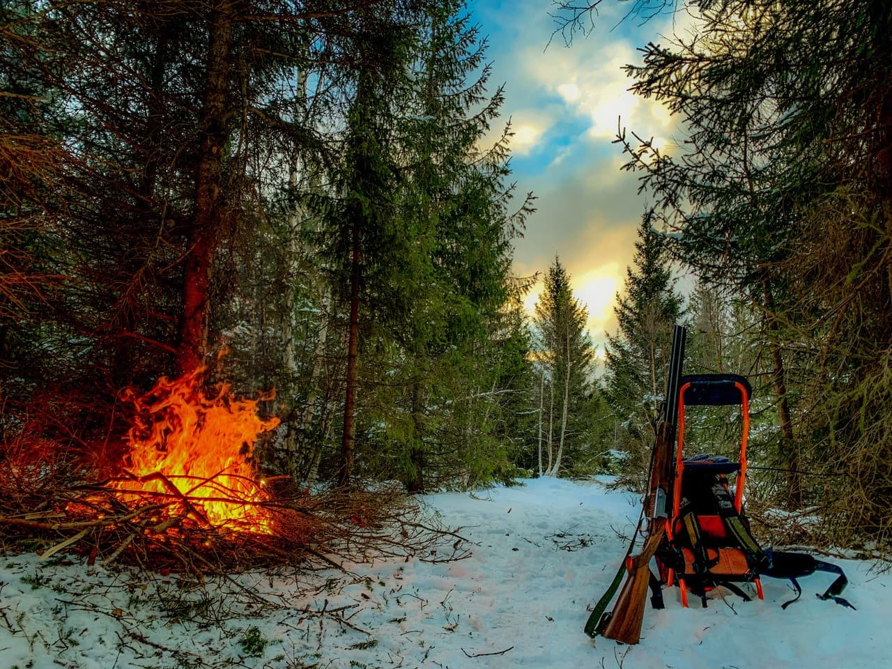 Nord-norsk Villmarksmesse ANS bilde 1