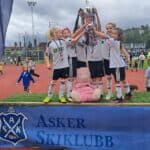 Føyka - Asker Stadion/skatepark bilde 3