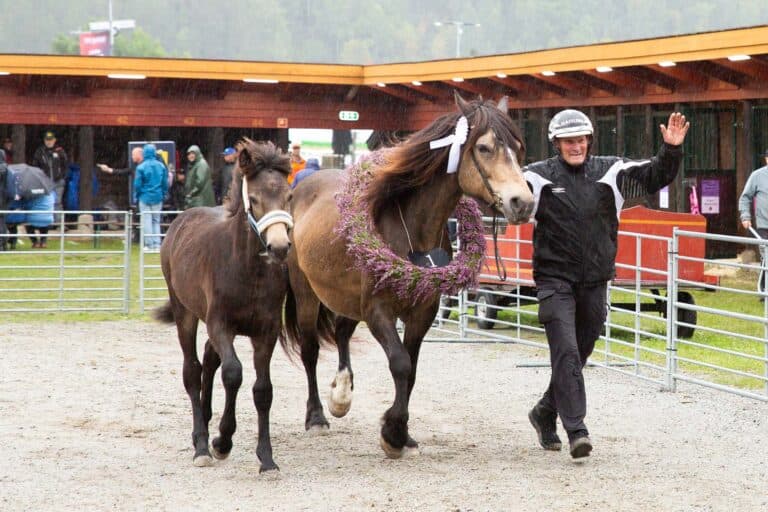 Dyrsku'n Arrangement bilde 5