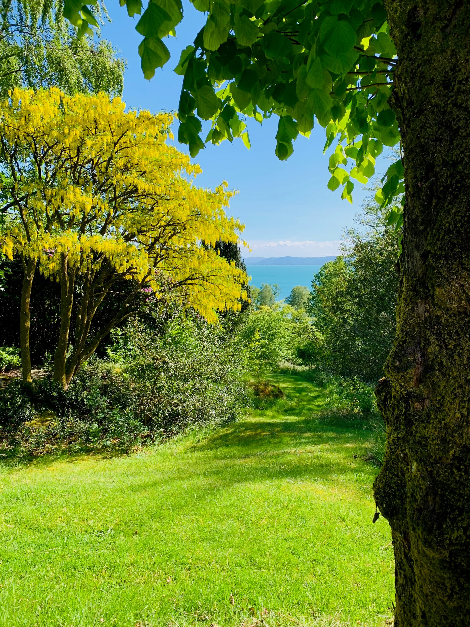 Moldegaard AS bilde 2