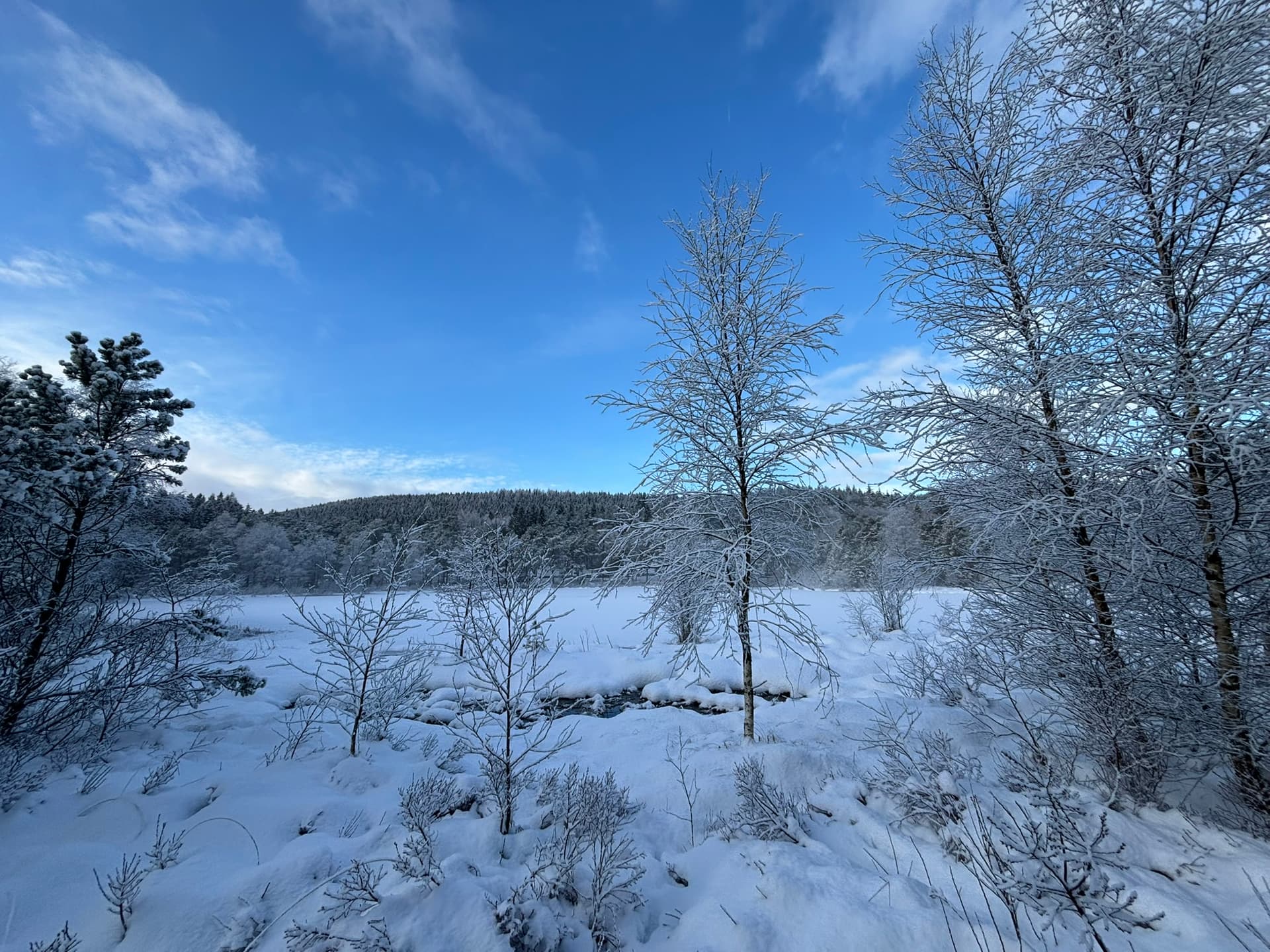 Rogaland Arboret bilde 8