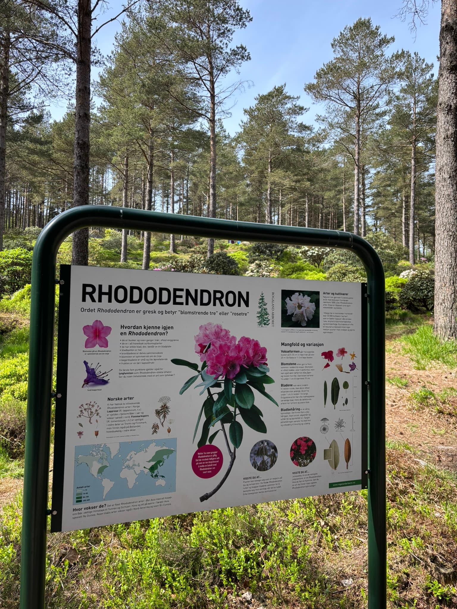 Rogaland Arboret bilde 9