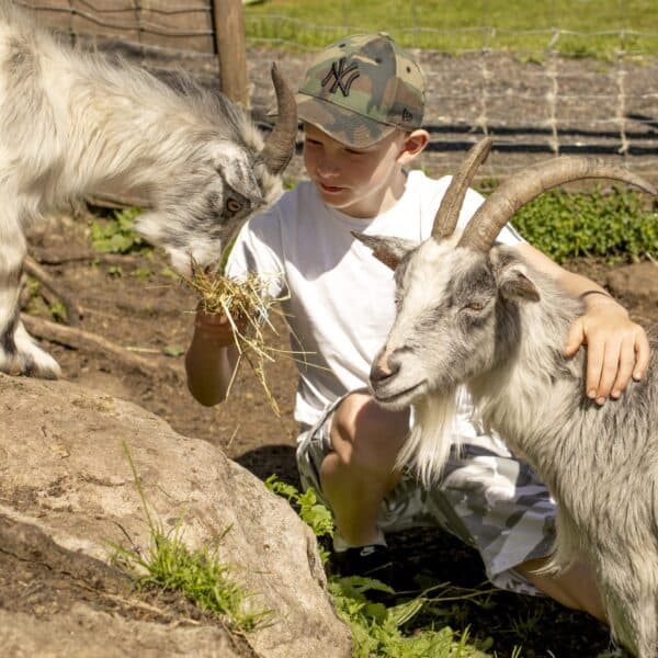 Lindland Gård bilde 5