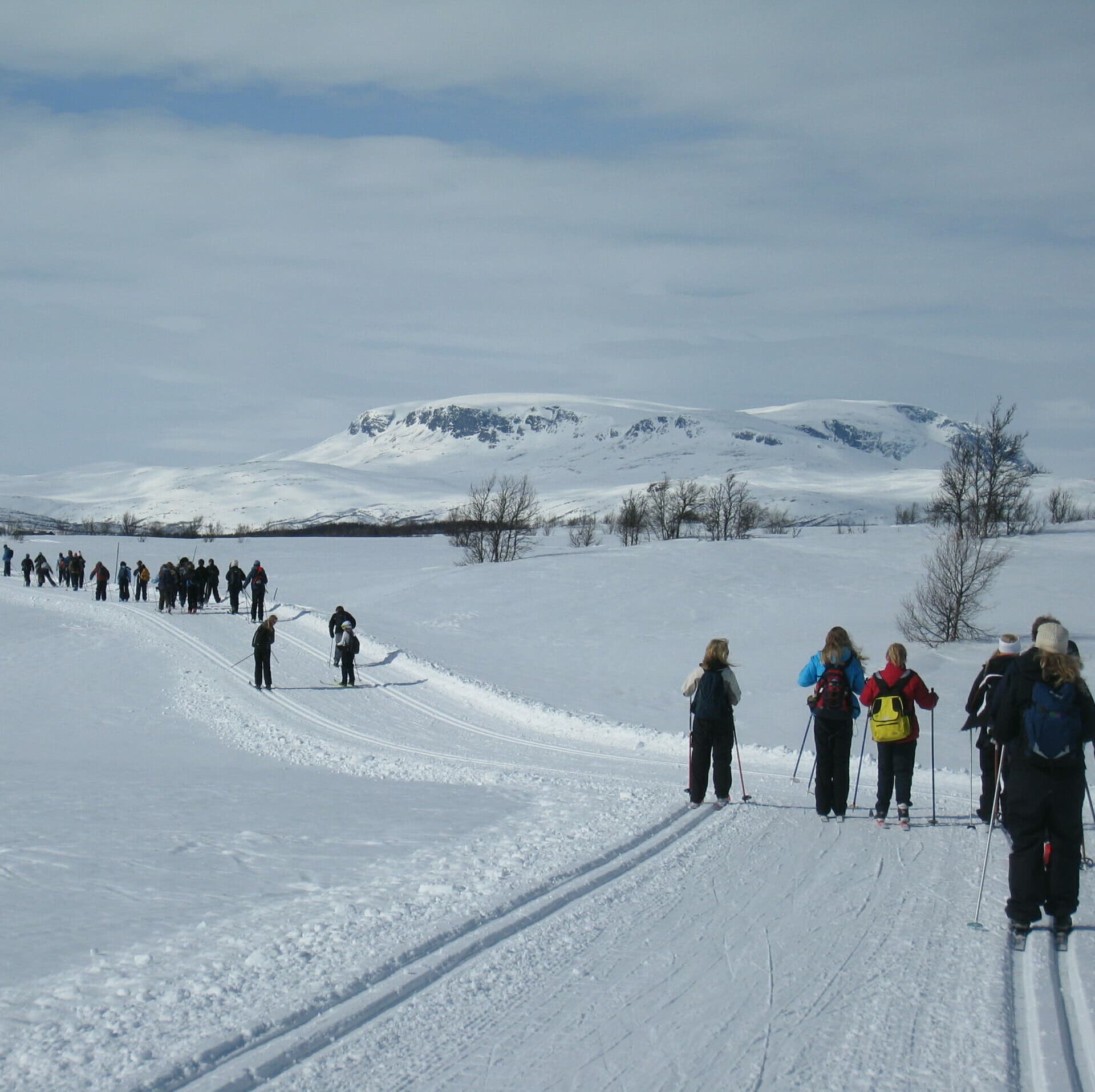 Fagerli Leirskole og Aktivitetssenter bilde 1