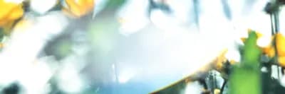 Felleskjøpet Drammen Kornmottak bilde 1