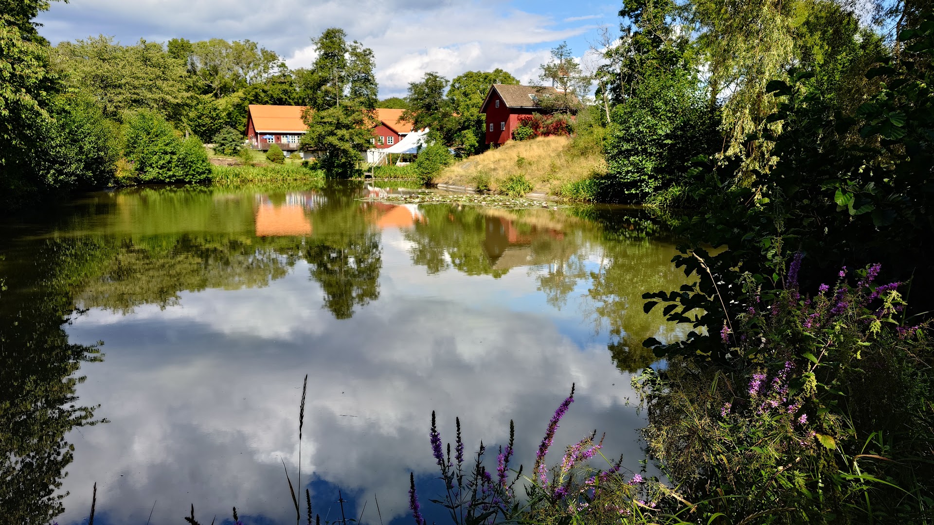 Bilde av Røed gård