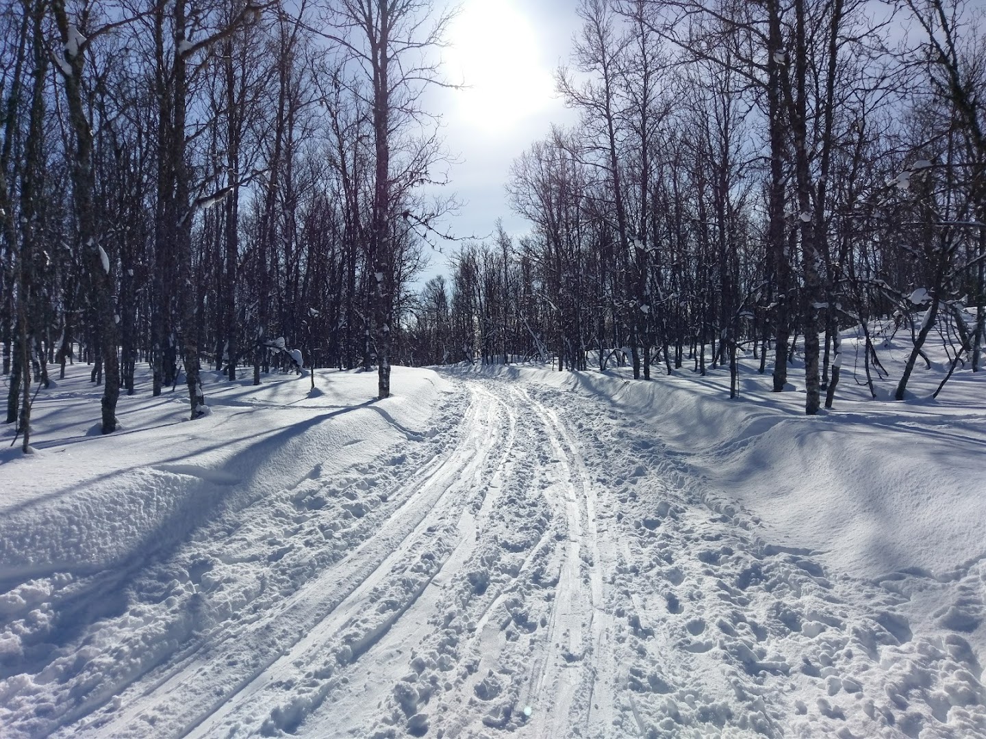 Bilde av Skihytta