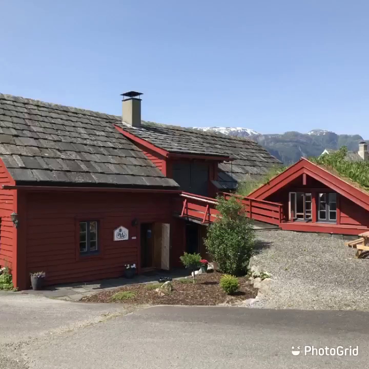 Bilde av Olaløo