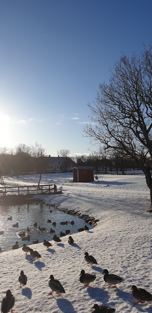 Bilde av Nordland kultursenter