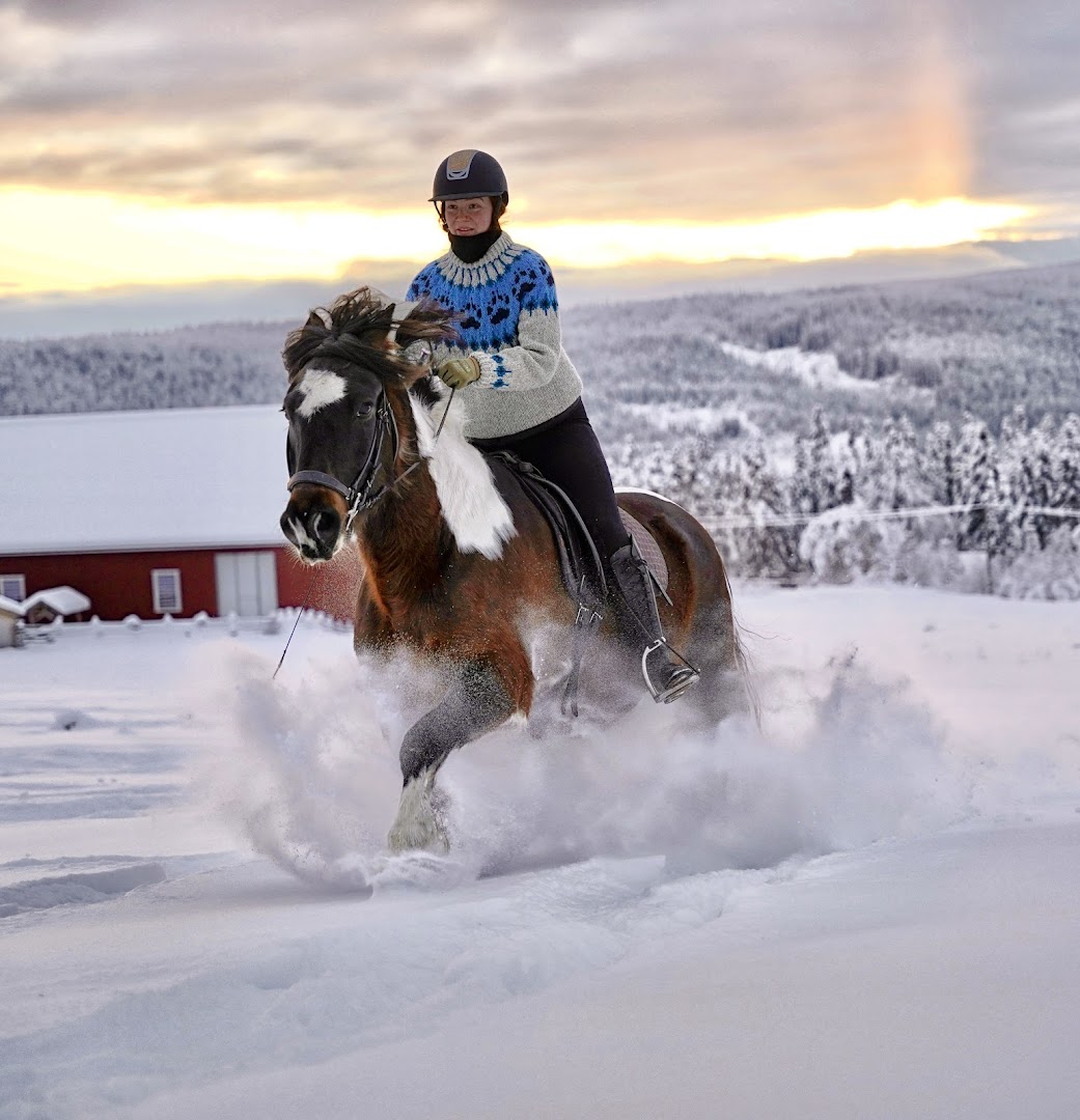 Bilde av Myhre gård