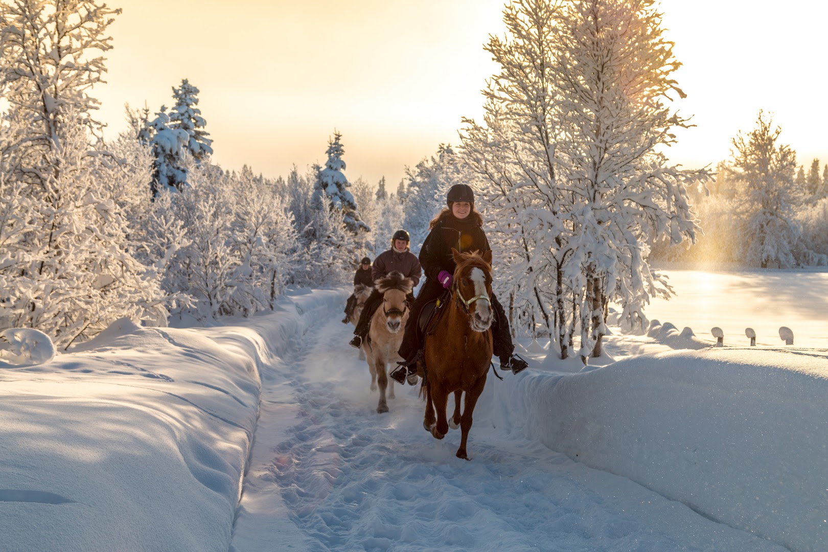 Bilde av Myhre gård
