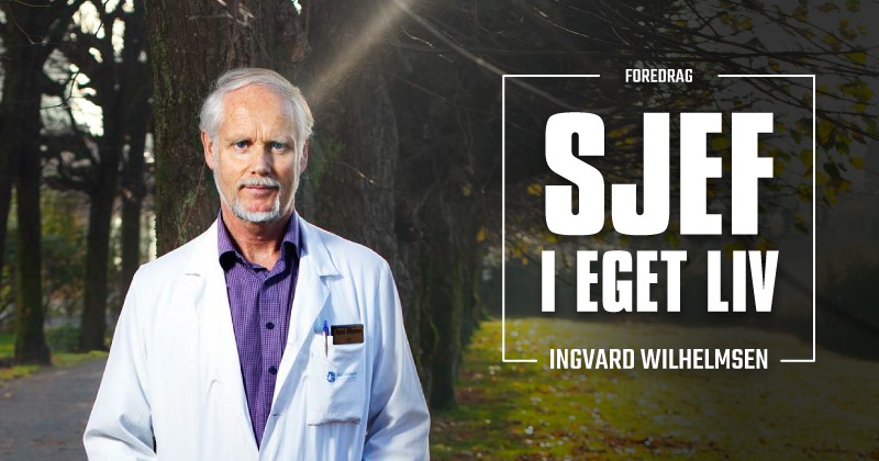 Bilde av Norsk Artist formidling DA