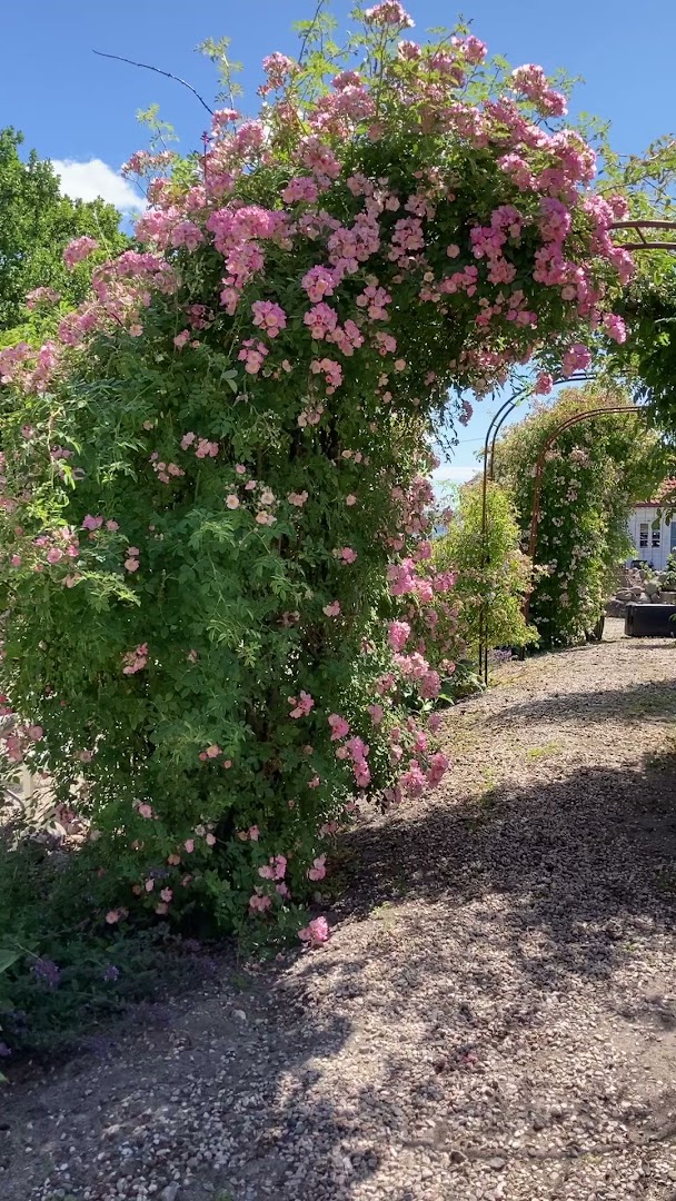 Bilde av Bjellandstrand Gård