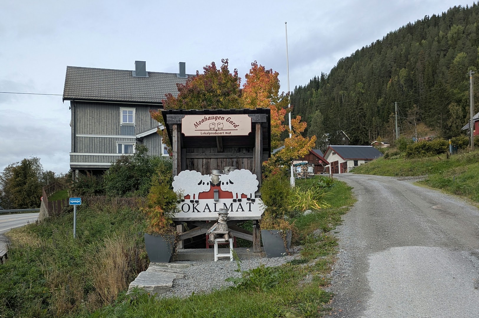 Bilde av Moahaugen gard