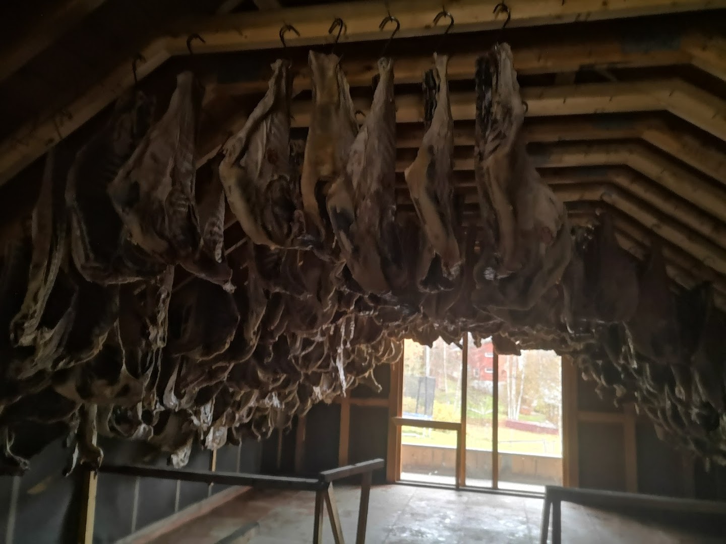 Bilde av Moahaugen gard